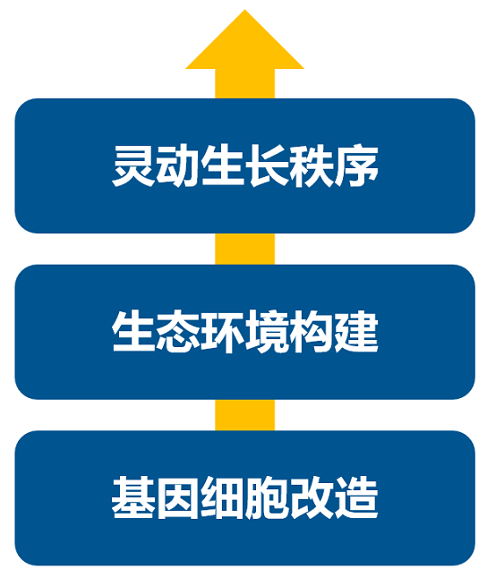 消費升級大時代,品牌如何進行戰略升級?