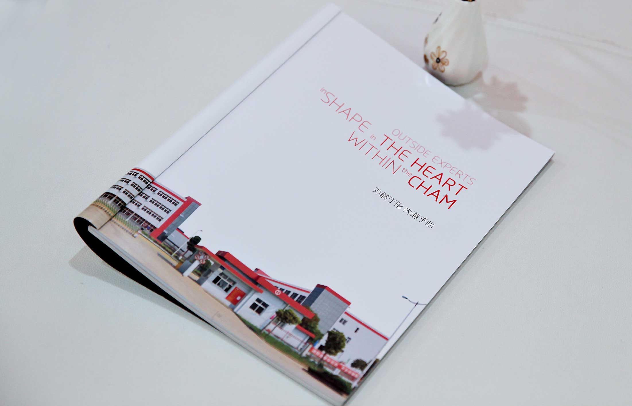 宣傳冊設(shè)計(jì)做的好表現(xiàn)在視覺上