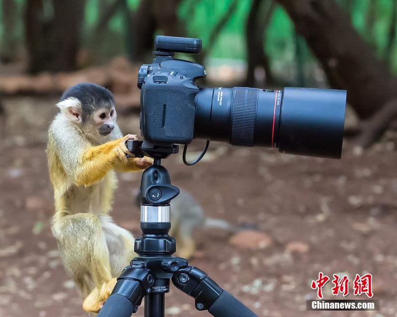 宣傳片拍攝時突出主體？