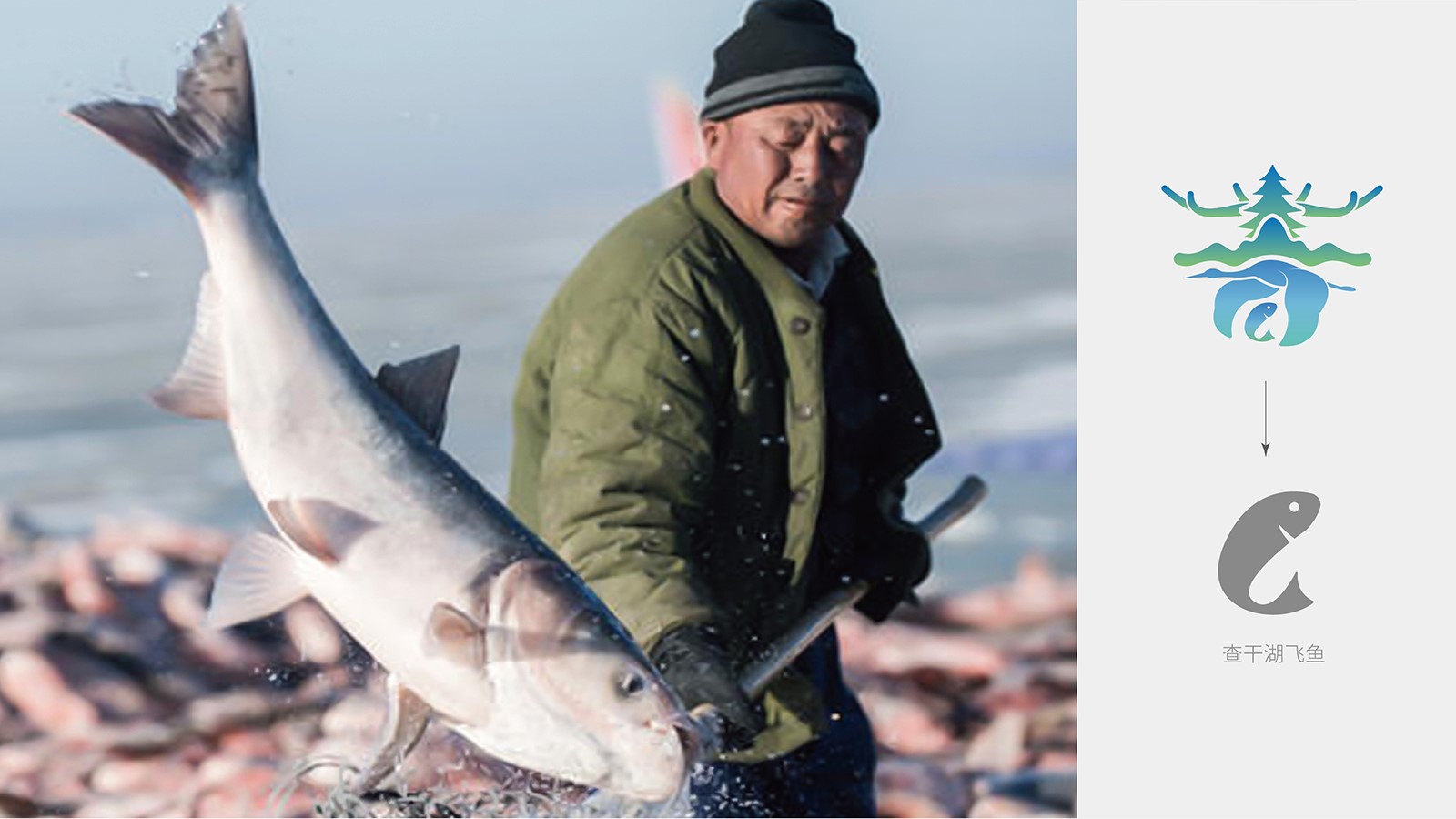 vi設計杭州有多少家設計公司?