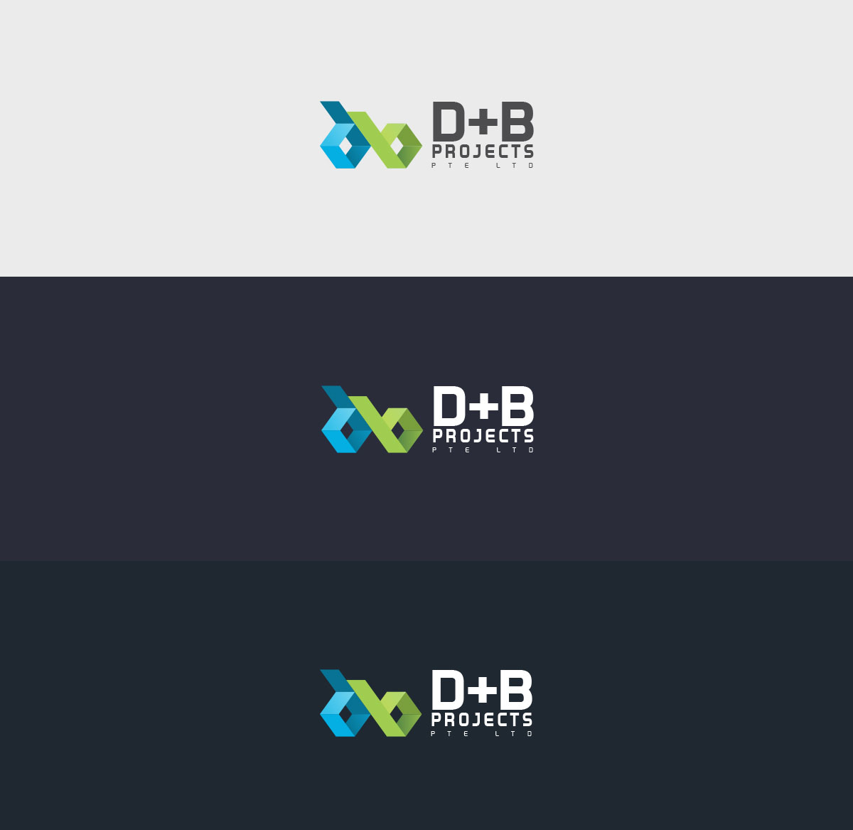 新加坡B+D建筑項目品牌設計