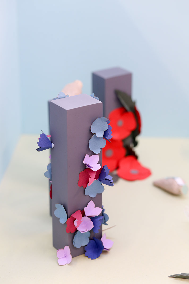 草甸種子創(chuàng)意包裝設(shè)計(jì) 草甸種子創(chuàng)意包裝設(shè)計(jì)