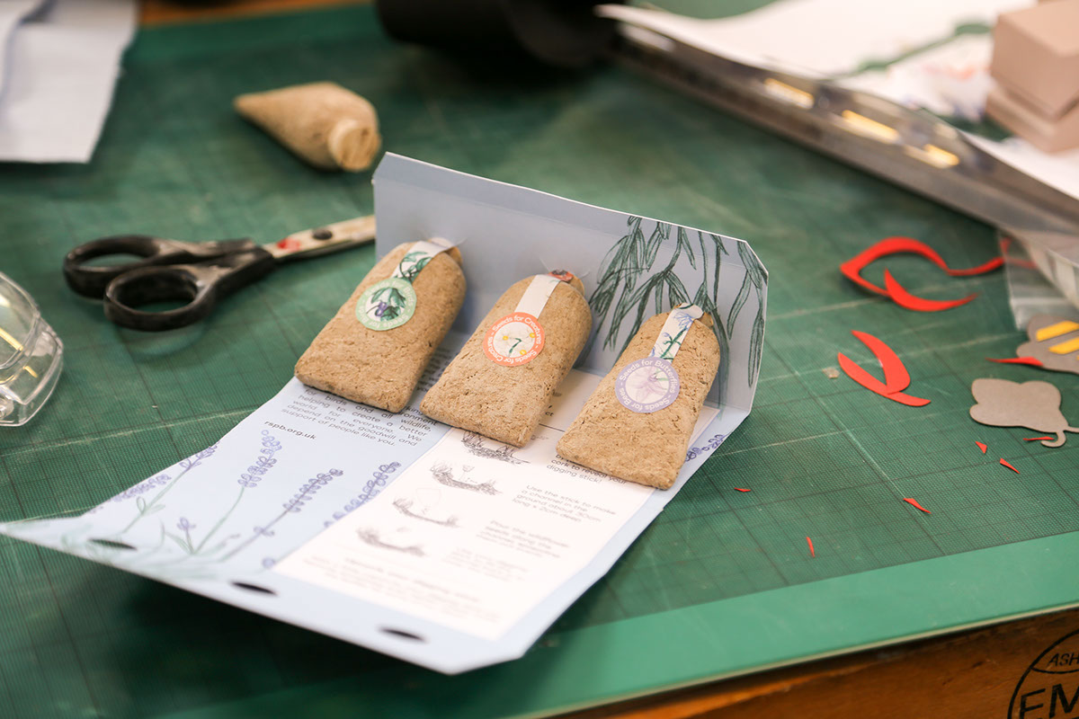 草甸種子創(chuàng)意包裝設(shè)計(jì) 草甸種子創(chuàng)意包裝設(shè)計(jì)