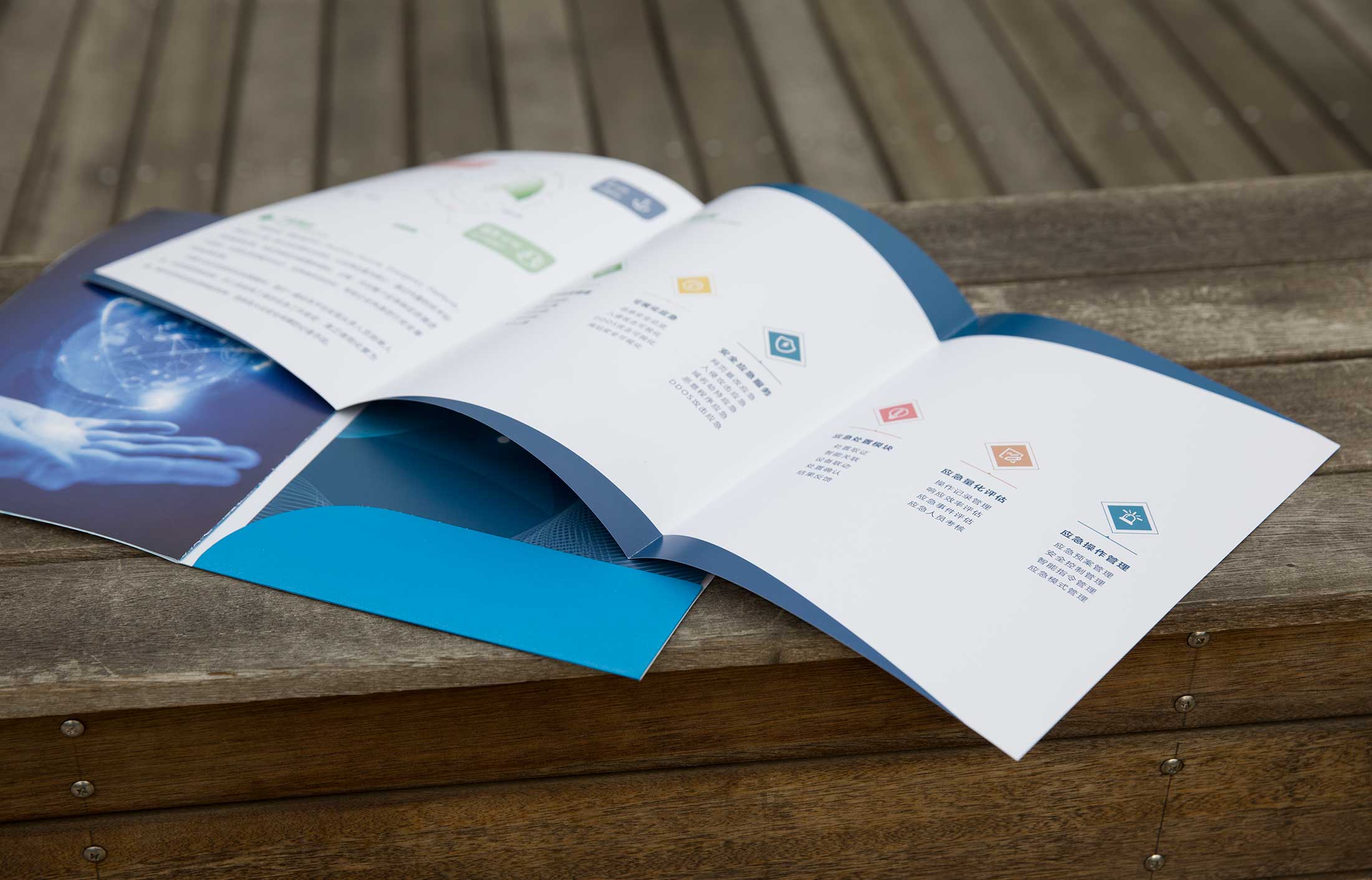 1625888031252536.jpg 35558055.JPG