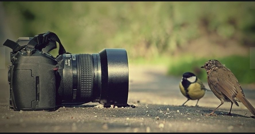 1626423816380153.png 53778b82f59cf845420137da62d75bf.png