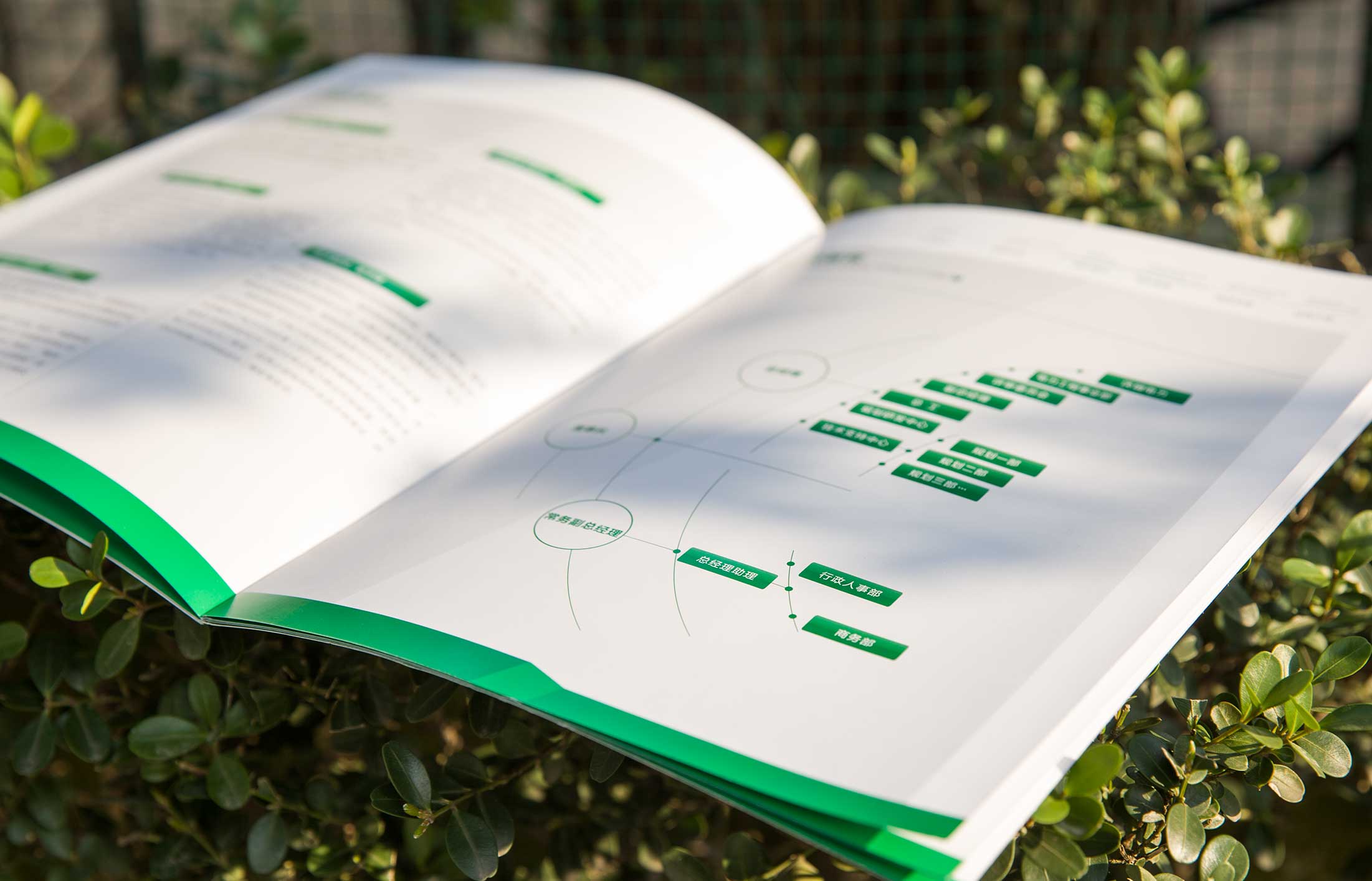 1627721010895430.jpg 32483680.JPG