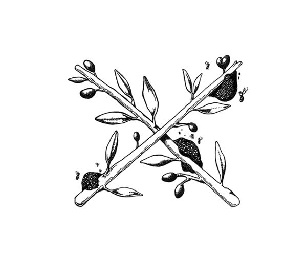 Helleo天然肥皂系列品牌包裝設計,六個肥皂,六個故事