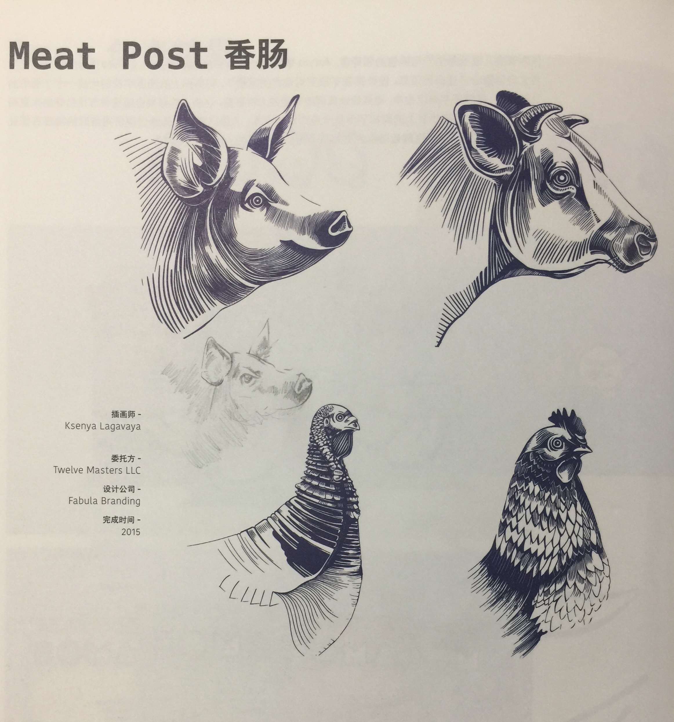 豬肉、小牛肉、雞肉和火雞肉香腸包裝設(shè)計(jì)