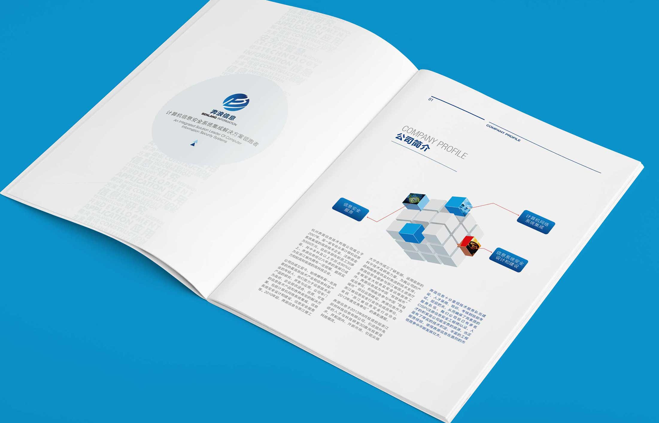 奔浪信息技術宣傳冊